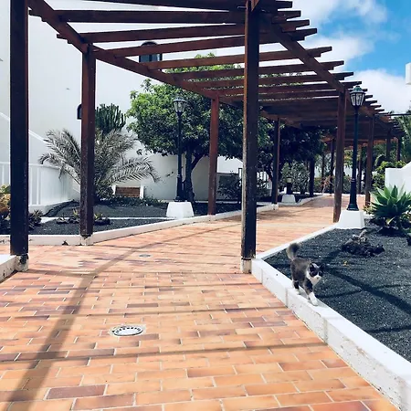 Διαμέρισμα Residencial Teguisol Tf49 *